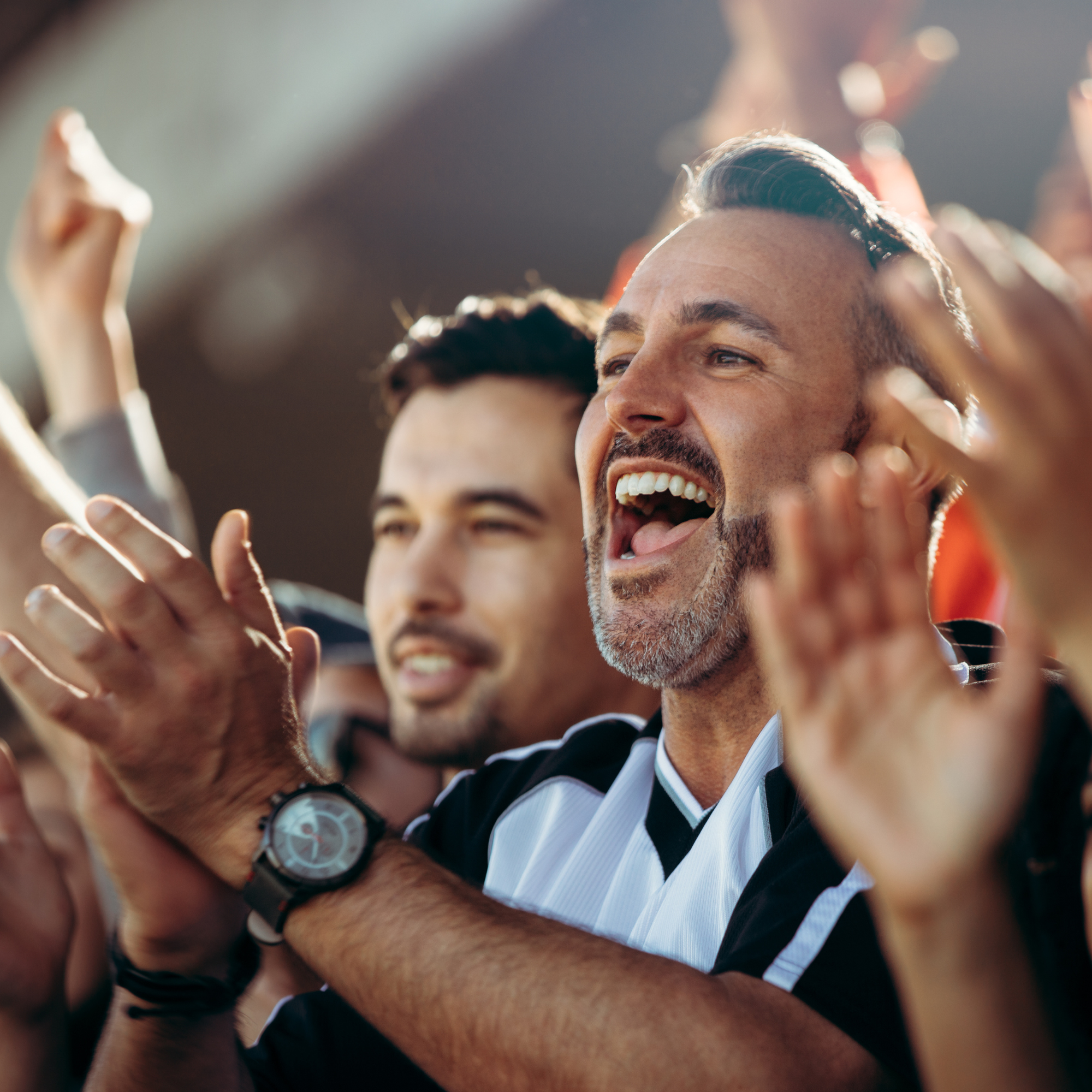 fans at a sports event