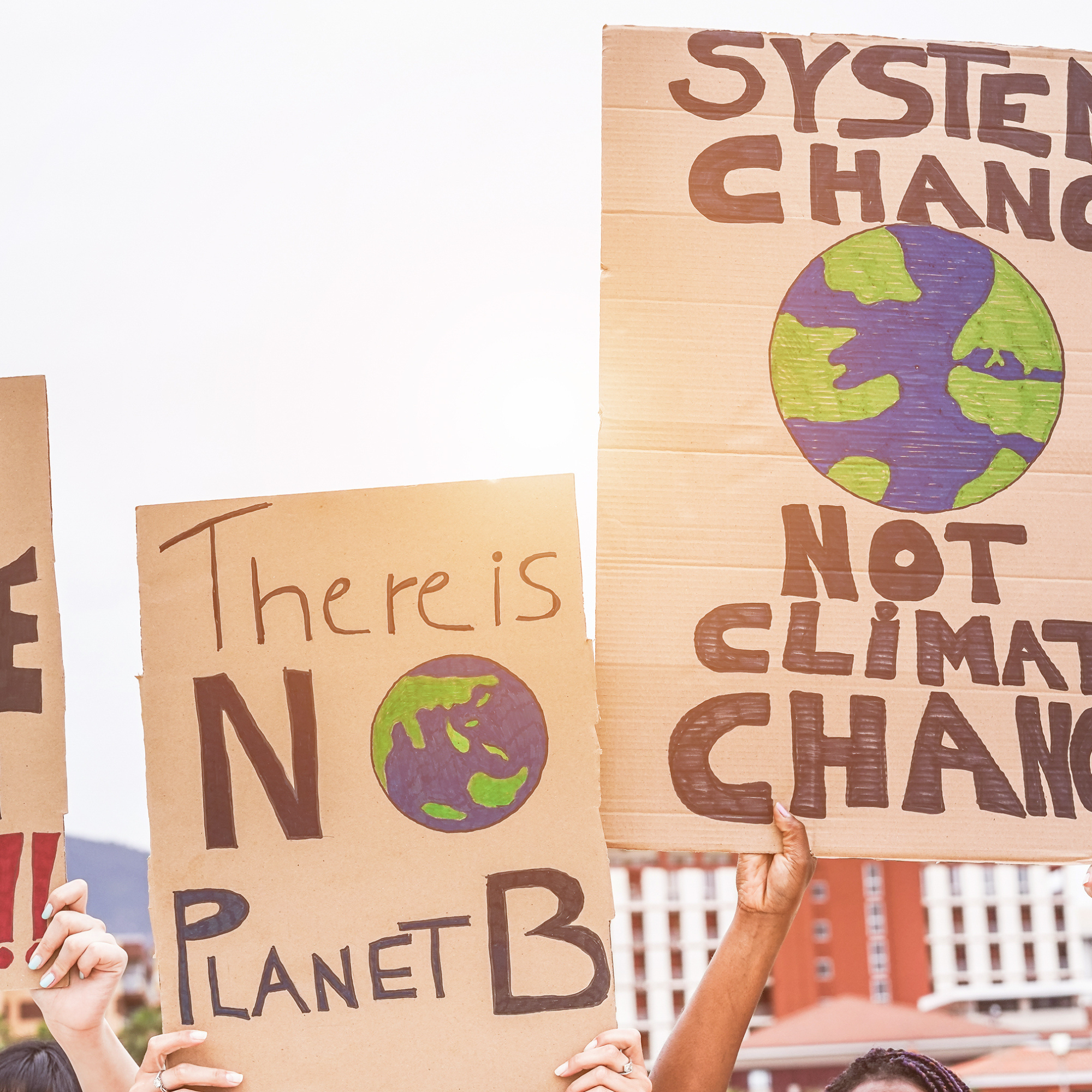 Social Causes
