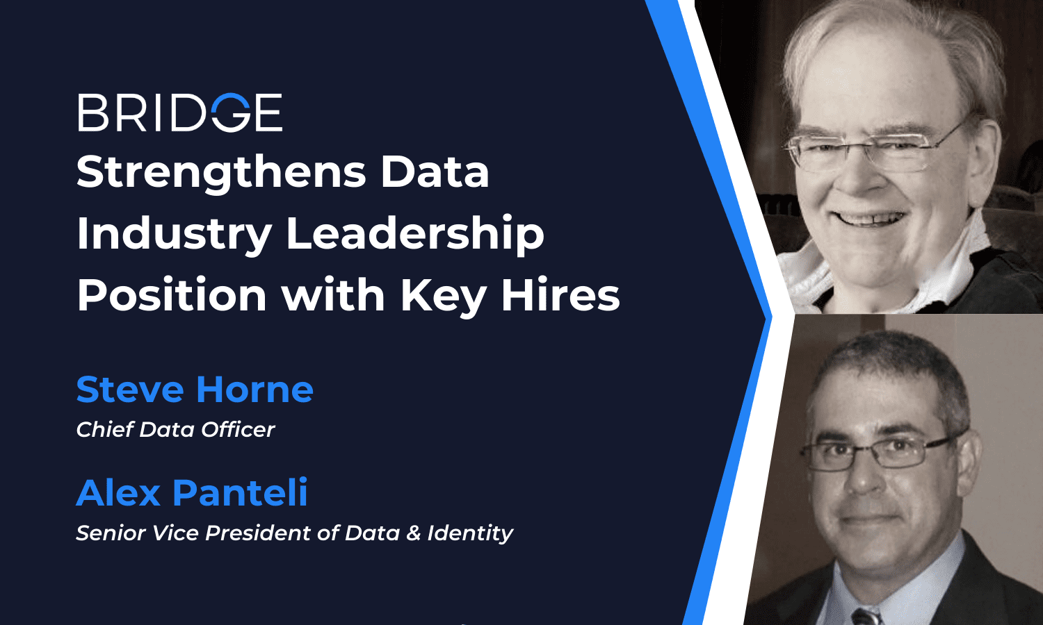 data industry leadership